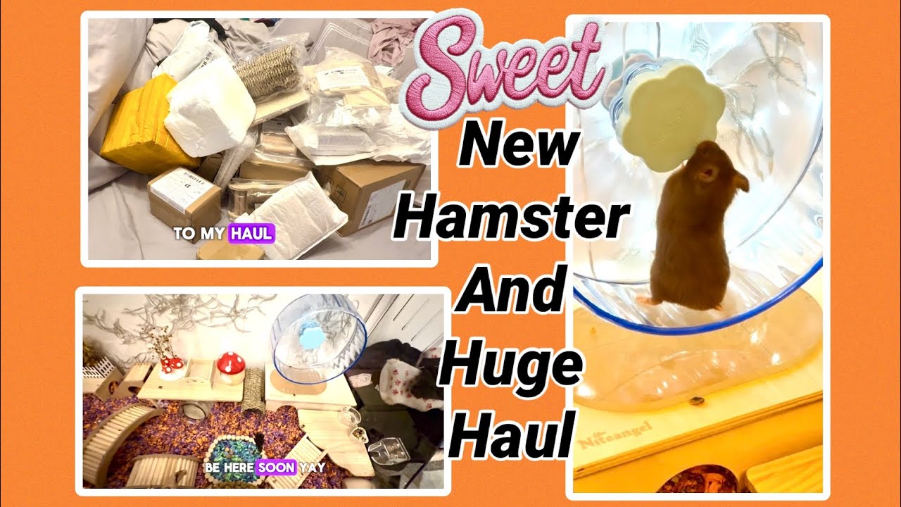 NEW Hamster and a huge Temu Haul! Cage Tour. 🐹🐹🐾🐾