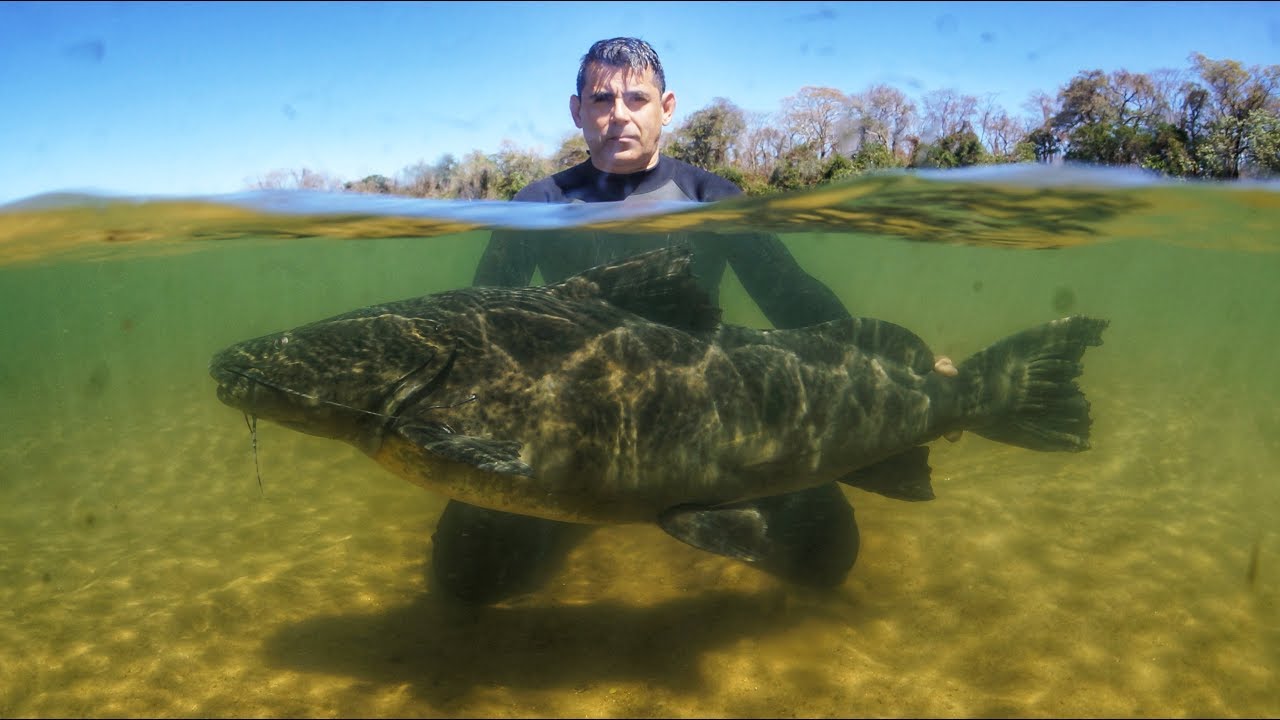 Pesca Sub | Expedição Rio Tocantins | Equipe Selva