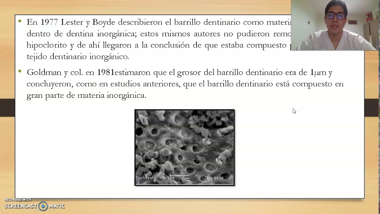 SMEAR LAYER-BARRILLO DENTINARIO