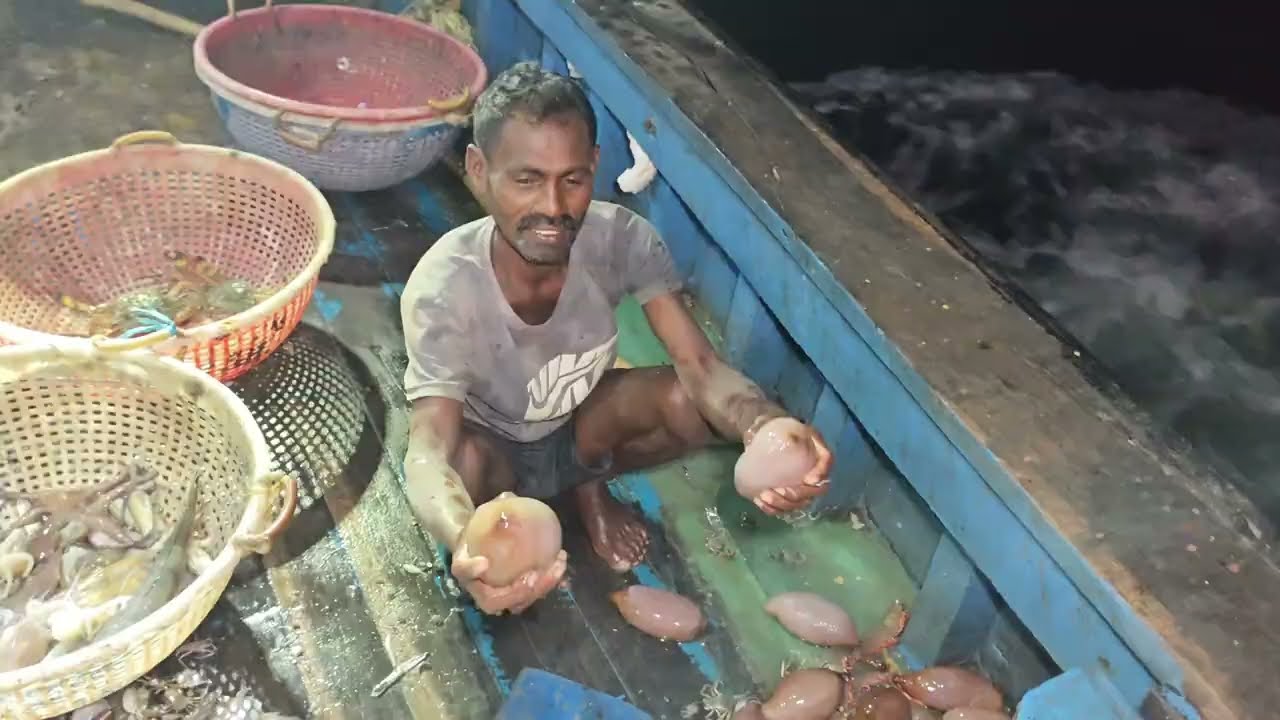 Amazing🤩 Massive Prawn Caught Trawl Net In Day Night Fishing |💢‼️ Catch And Cook 💢‼️|
