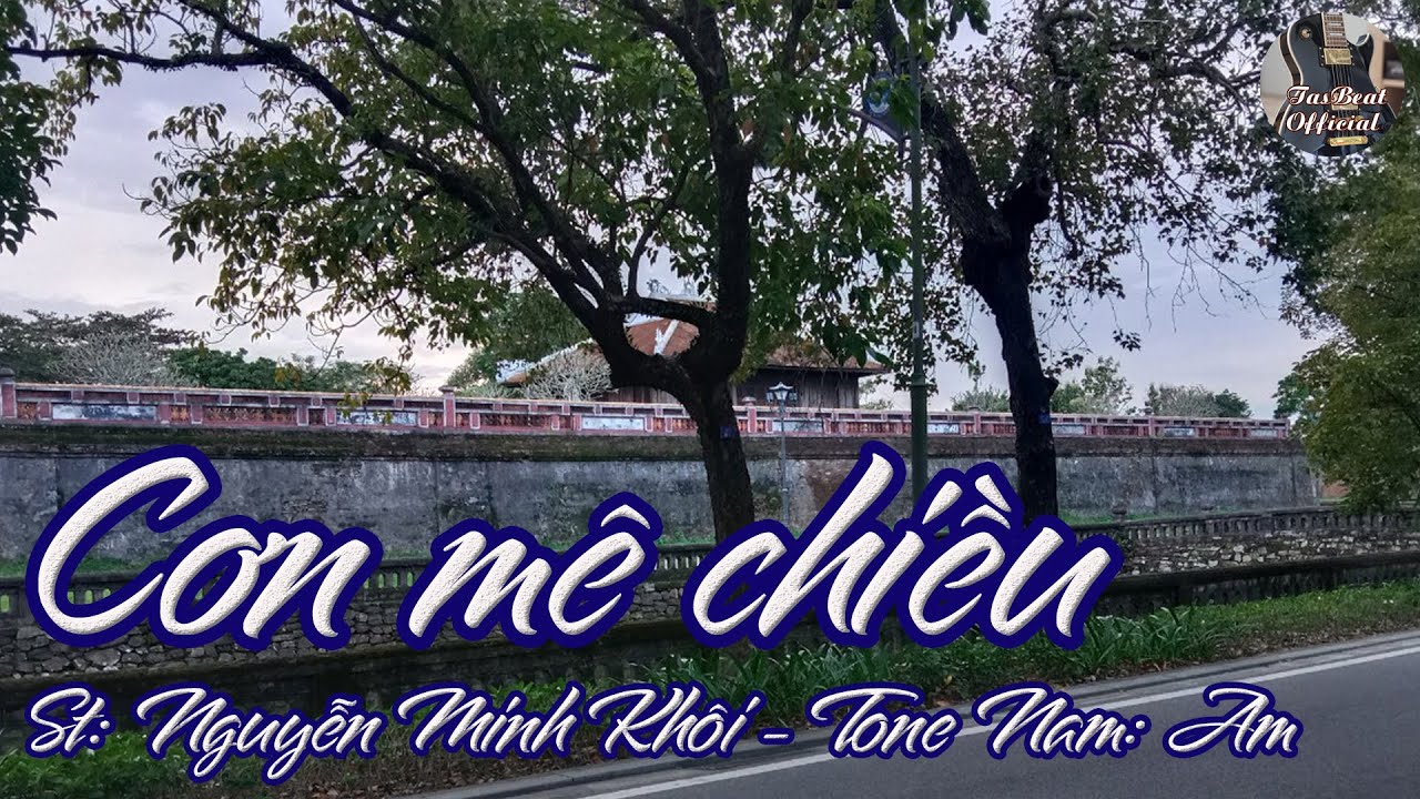 Karaoke Cơn M&ecirc; Chiều Tone Nam | TAS BEAT