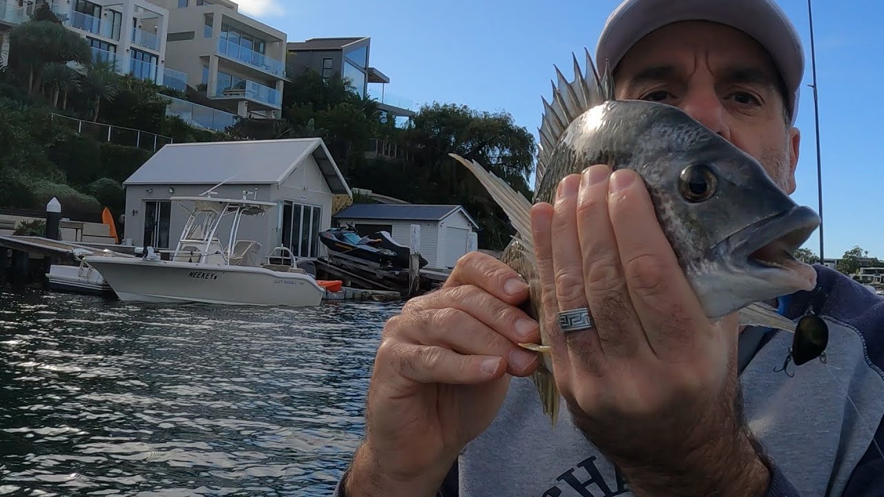 Winter Bream Fishing Using a Mussel Vibe