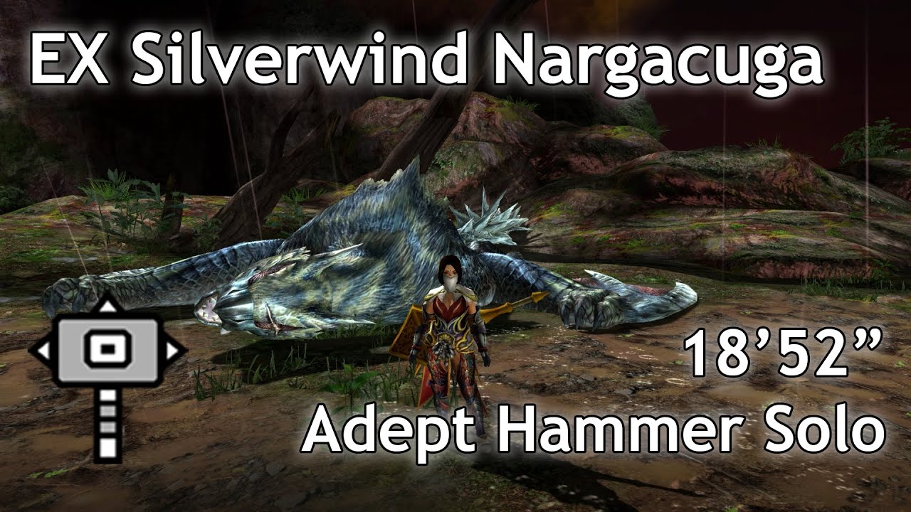 Solo EX Silverwind Nargacuga 18'52