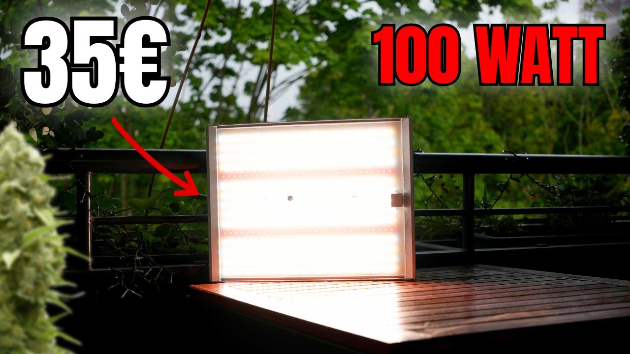 35€ HOMEGROW LED MIT 100 WATT IM TEST - SCHNÄPPCHEN ODER LEBENSGEFÄHRLICH?