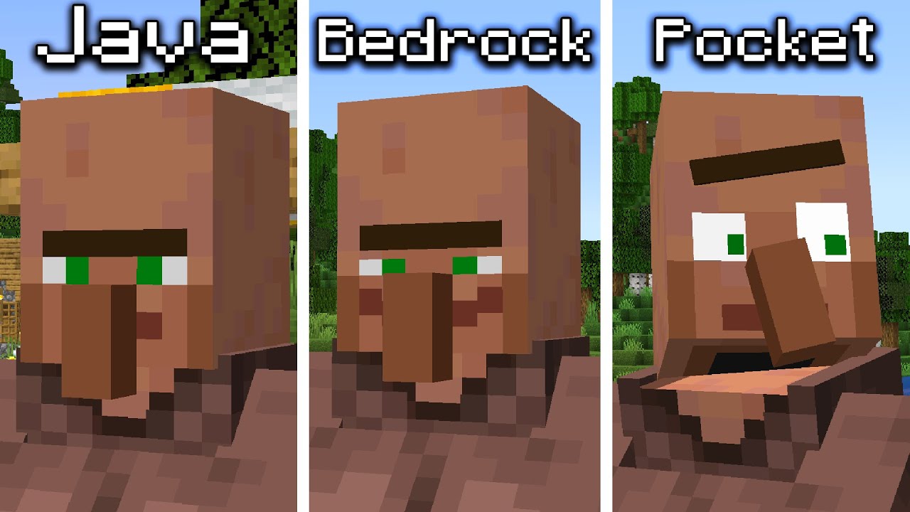 Java vs Bedrock vs Pocket Edition