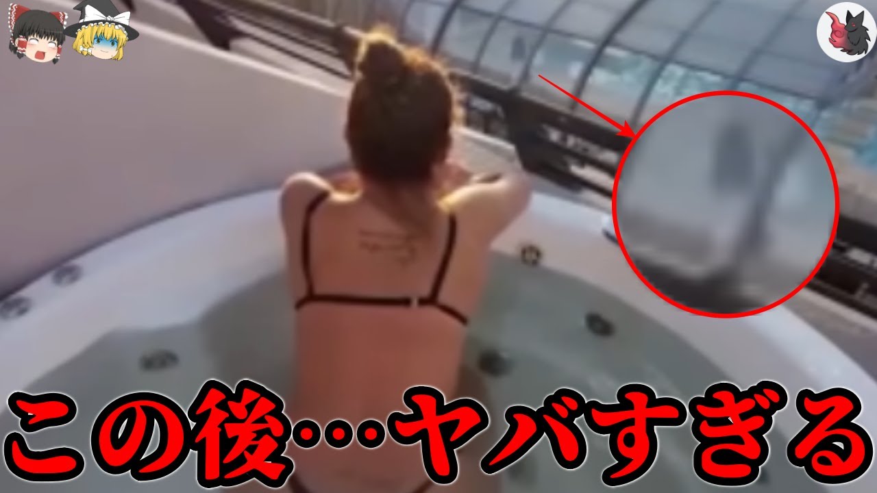 【ゆっくり解説】SNS民が身震いした心霊＆恐怖映像８選【防犯カメラ映像】