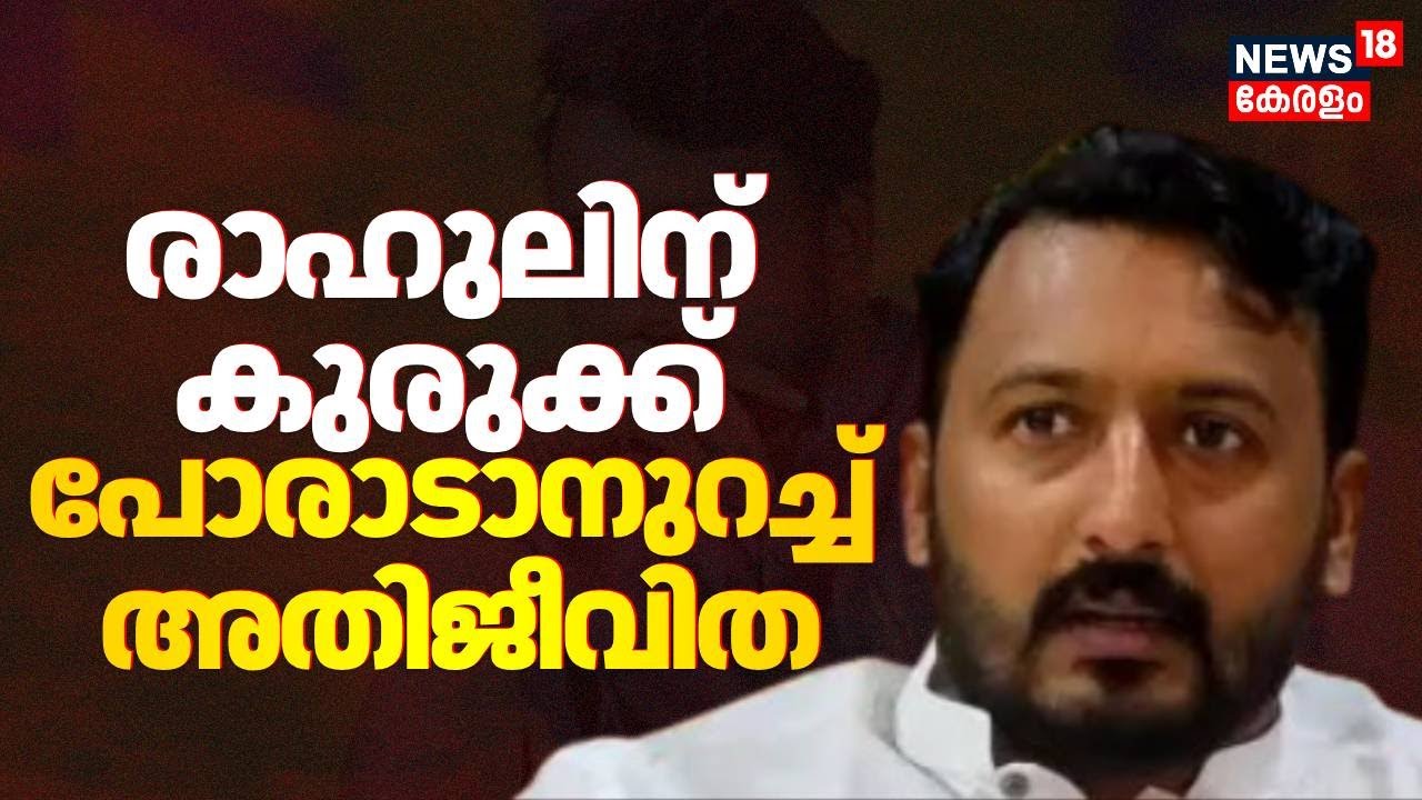 രാഹുലിന് കുരുക്ക്; പോരാടാനുറച്ച് അതിജീവിത | Rahul Mamkootathil MLA Arrest | Kerala Highcourt