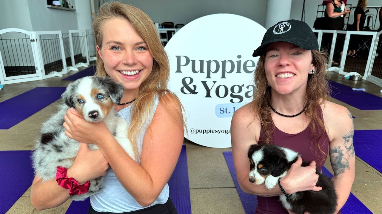 Adorable PUPPIES Take Over Our YOGA Class! - Vlog - Hailee And Kendra