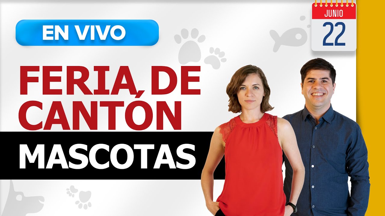 ✅Proveedor de ACCESORIOS PARA MASCOSTAS  🐾 Importar desde CHINA 🇨🇳 Feria de Canton Online 2020