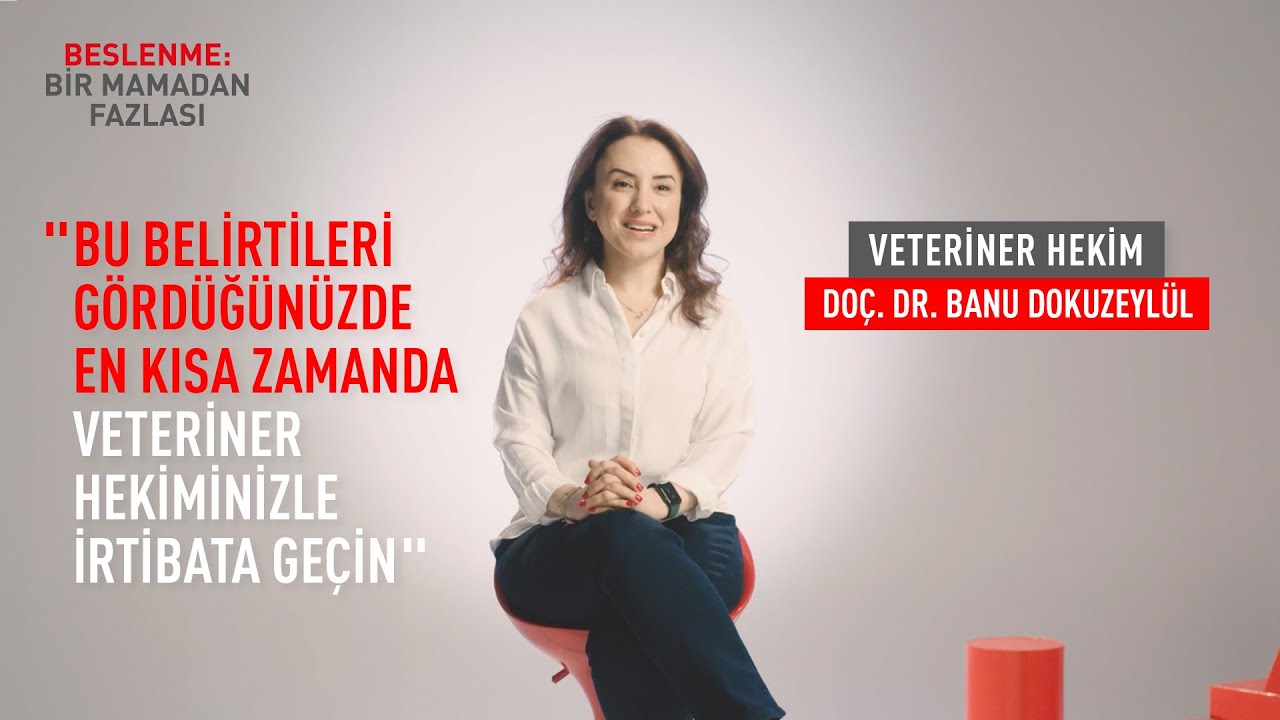 Kedilerde-Köpeklerde Alt Üriner Sistem/Kedimin-Köpeğimin Ürolojik Hastalığı Olduğunu Nasıl Anlarım?