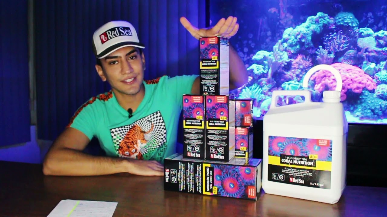 Suplemento para corles REEF ENERGY PLUS de RED SEA