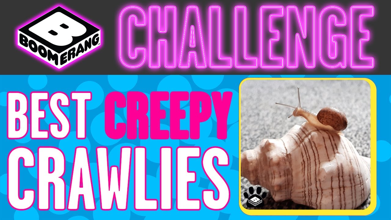 Boomerang Challenge | Best Creepy Crawlies | Boomerang UK 🇬🇧