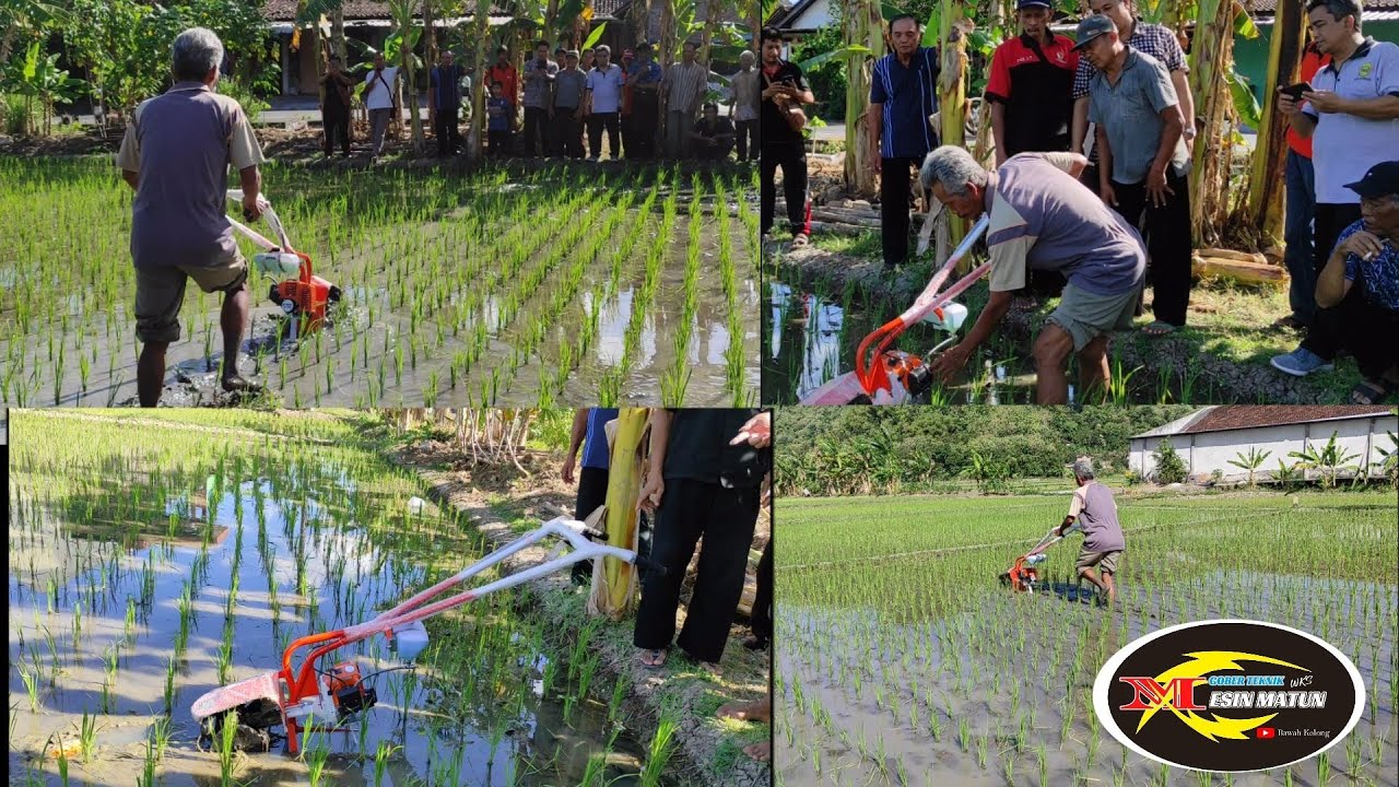 mesin penyiang gulma, wingkosanggrahan ,purworejo
