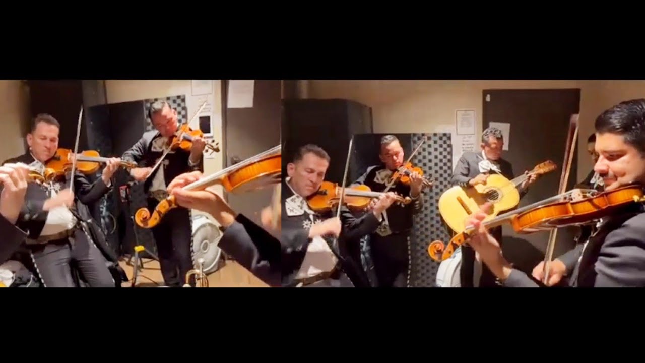 El Maestro José Hernández/Dirigiendo a sus violines/El son de la negra!!(Estudio)🎻🎶👏🏻