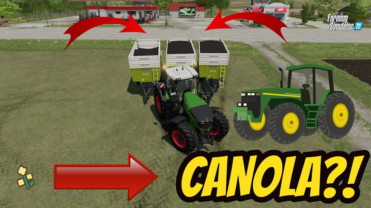 Seeding and harvest canola! - FARMING SIMULATOR 22 