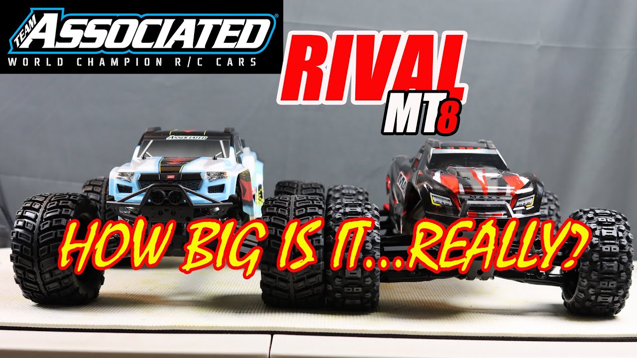Team Associated Rival MT8 Size Comparison with Maxx, Kaiju and Sketer