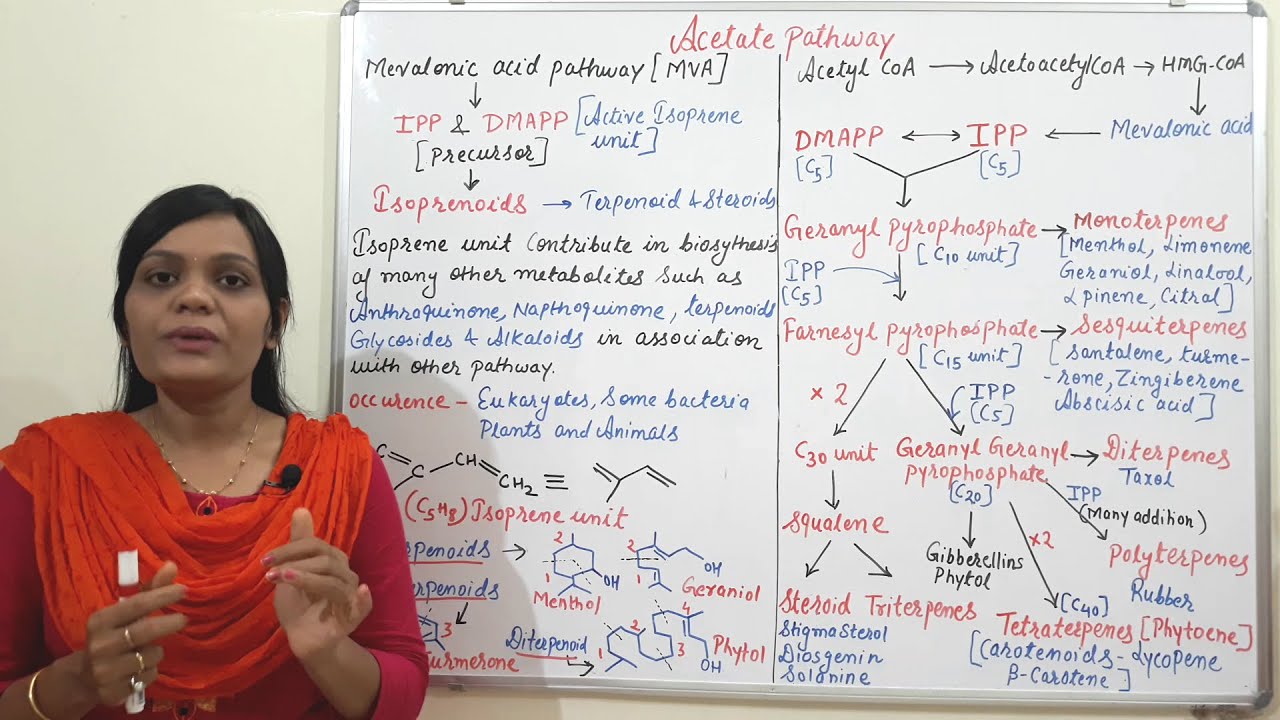 Class (05) = Acetate Pathway (Part 02) | Acetate Mevalonate Pathway | Steps of Mevalonate Pathway