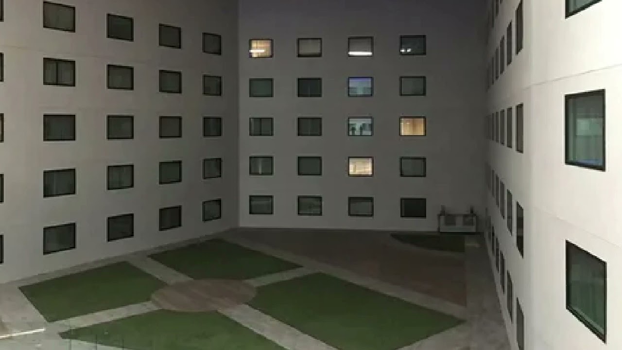 2009|Crystal Castles Style|Frailcore