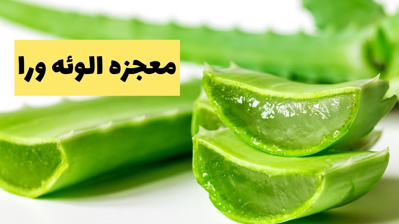 خواص معجزه آسای آلوئه ورا برای سلامتی  properties of aloe vera for health
