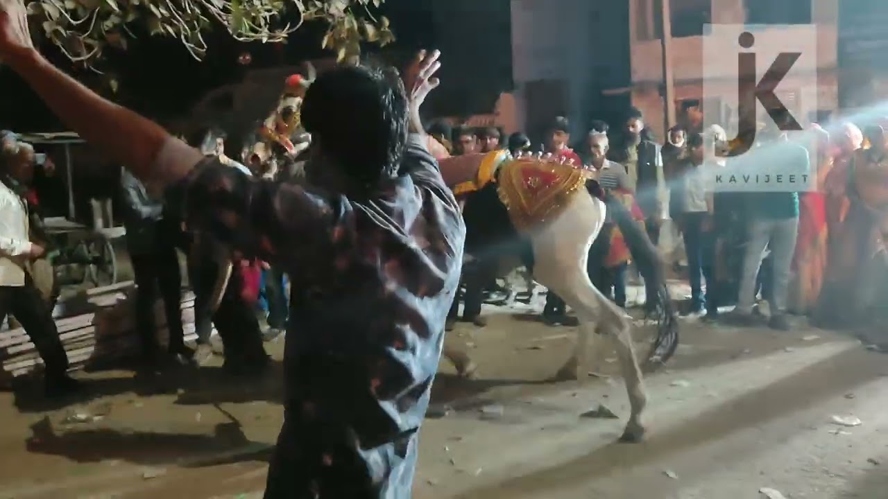 Horse dance on Leelan singare song.