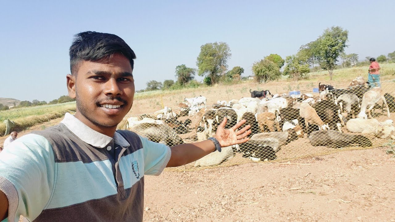 Aaj aalo aami Mendhyanchya Vadyavar 😍❤️🌎 #krushnapawarvlogs  ______