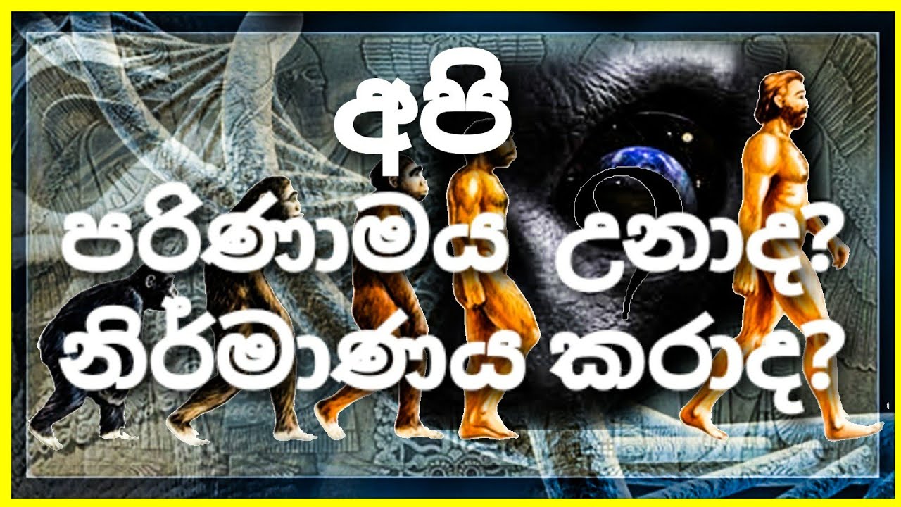 අපි පරිණාමය උනාද? නැතිනම් අපිව නිර්මාණය කරාද ? | මොනාද තියන සාධක? | did we really faced evolution ?