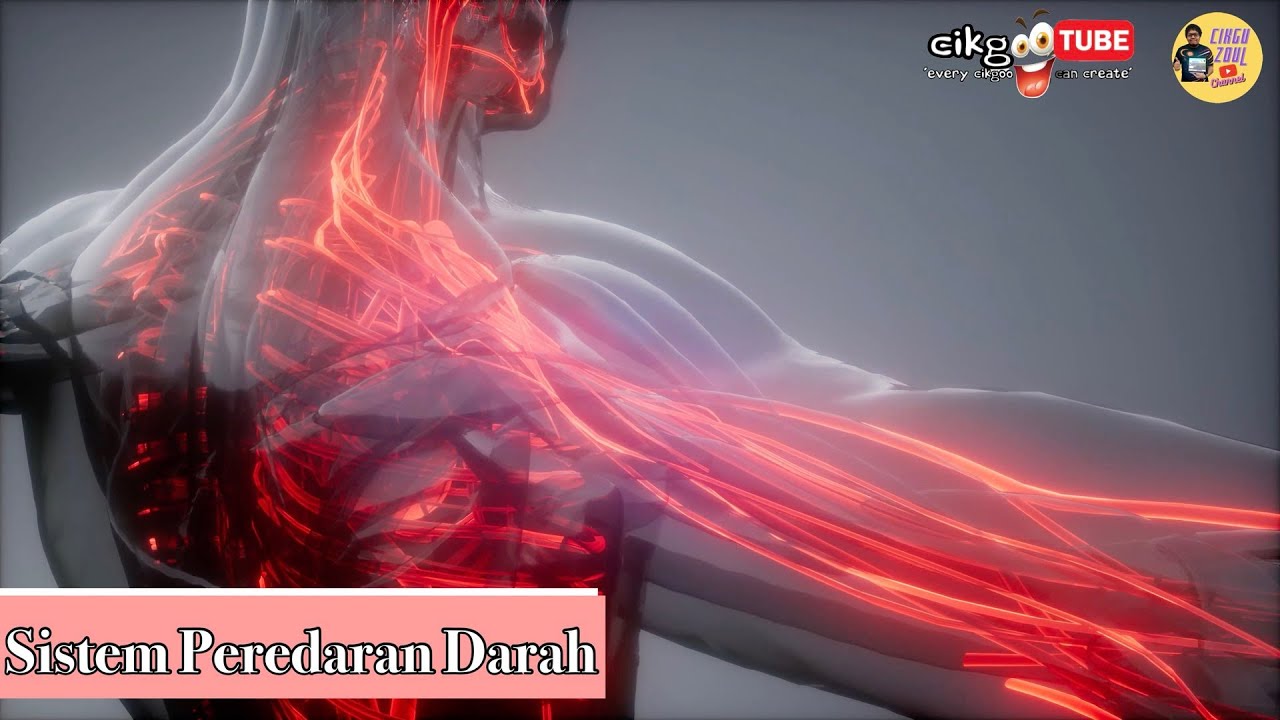 Sains Tahun 5: Sistem Peredaran Darah Manusia
