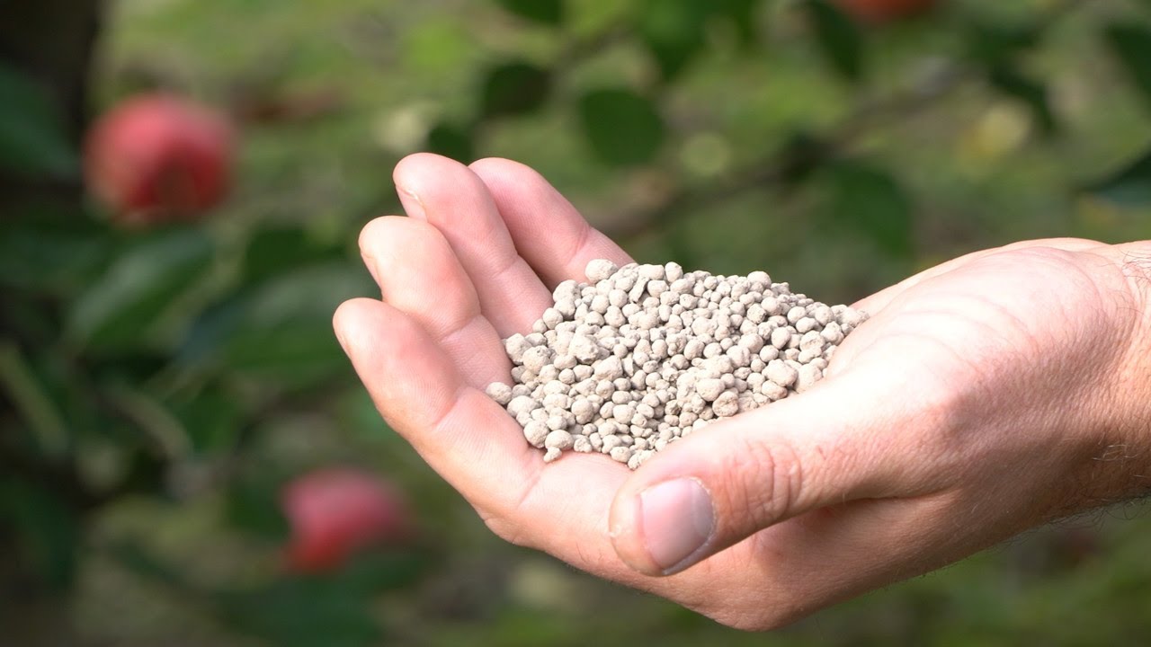 Niezwykły nawóz wapniowy – Czarna Kreda