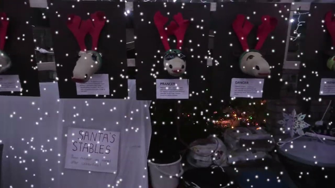 Xmas Lights 2025