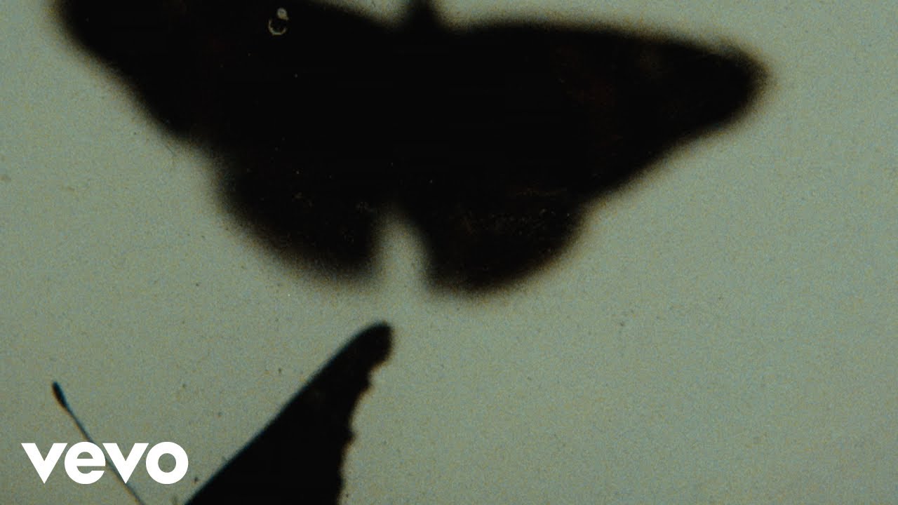Arima Ederra - Heads or Tails (Visualizer)