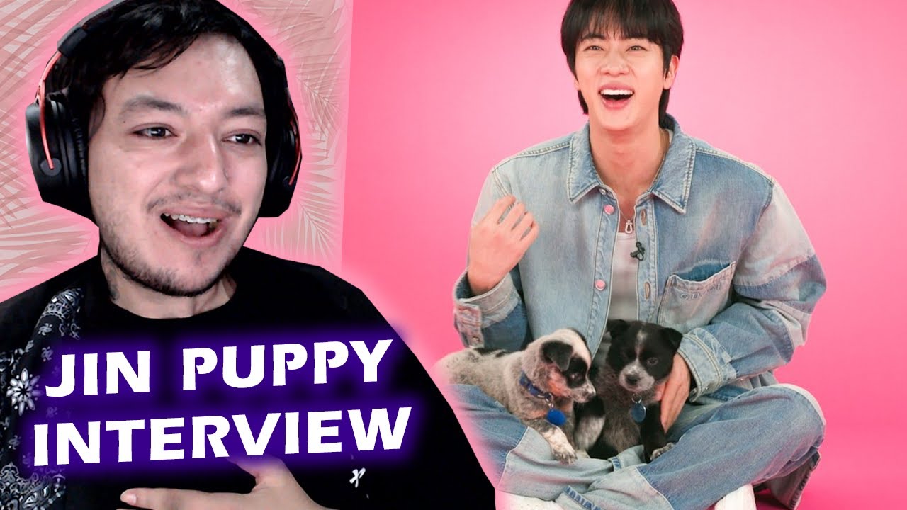 Jin: The Puppy Interview | REACTION