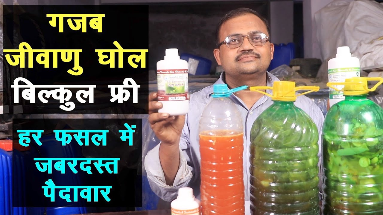 फ्री का ये जीवाणु घोल फसलों की जबरदस्त पैदावार बढ़ाता है || Organic Farming Bio Enzymes ||