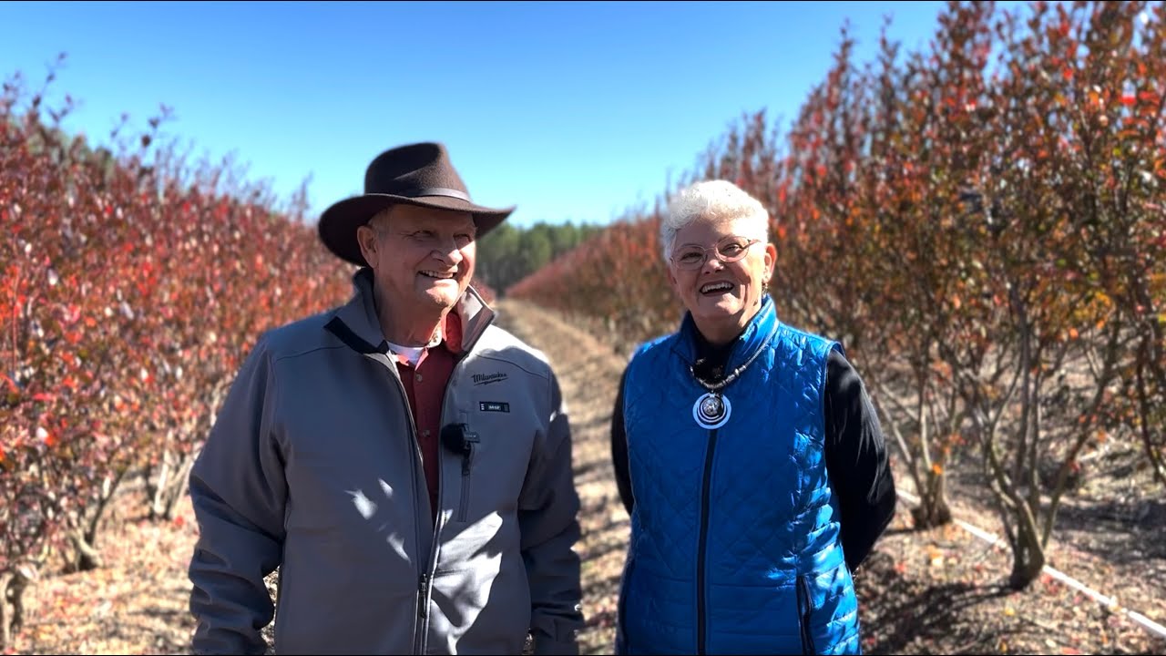 Exploring Different Blueberry Varieties on Our Farm