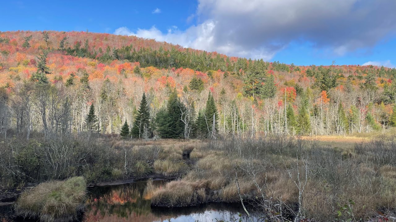 A Trout Bum Story “ The Moose River Plains a Two Part Adventure”