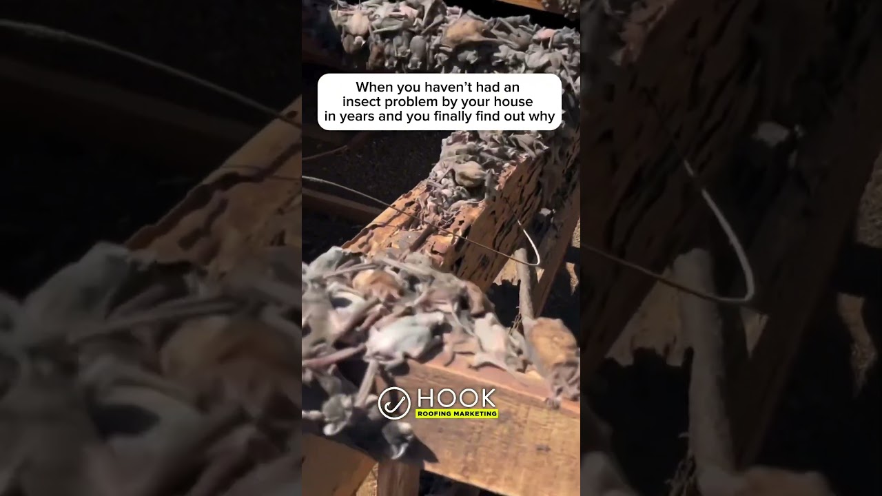 State Farm says &ldquo;pre existing condition&rdquo; #roofing #bats #insurance #meme #roofer