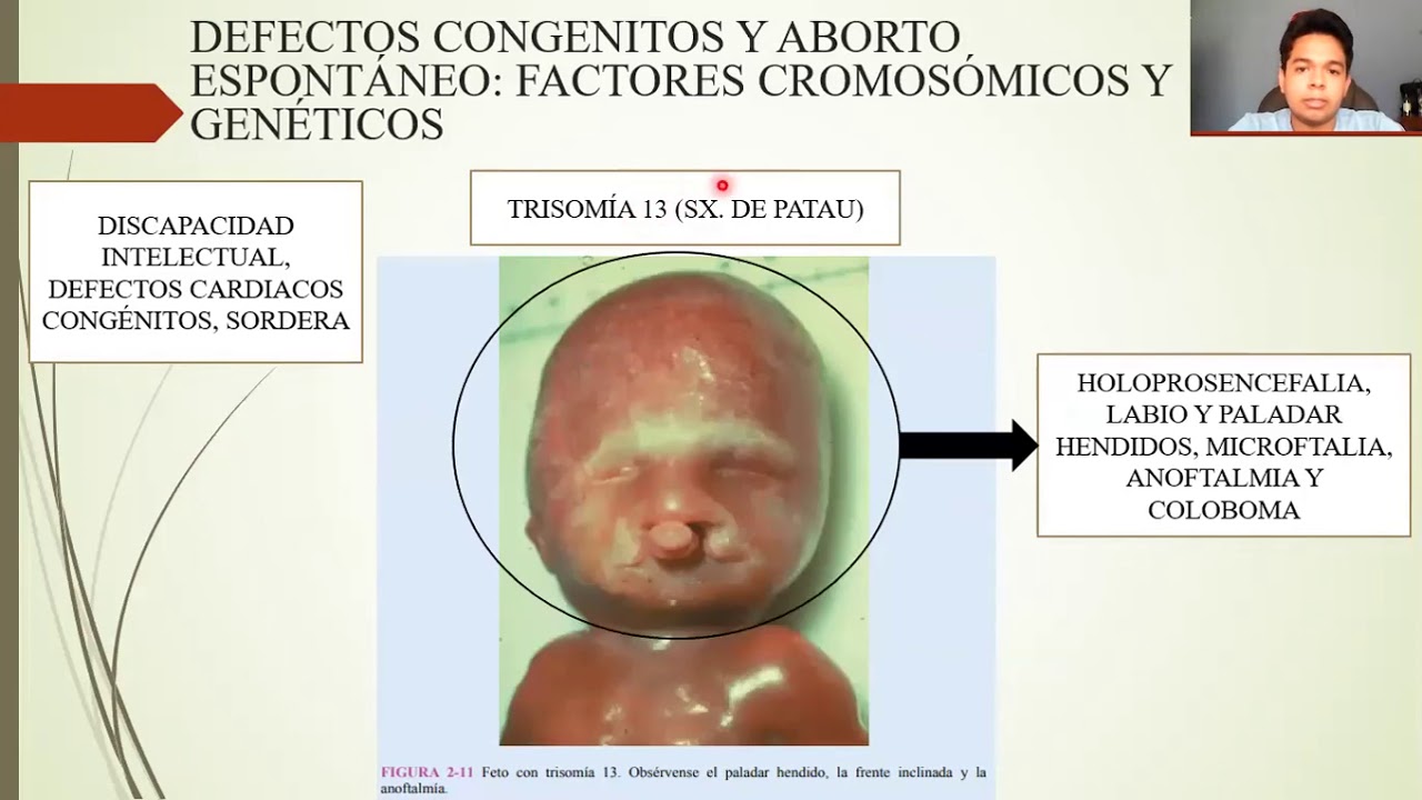 EMBRIOLOGÍA: GAMETOGÉNESIS: CONVERSIÓN DE CÉLULAS GERMINALES EN GAMETOS MASCULINOS Y FEMENINOS