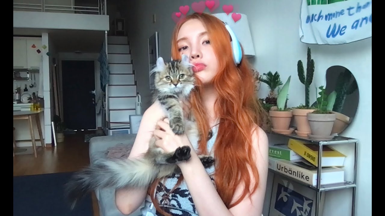 나 여름 좋아하네 18 - Jeremy zucker (female cover)