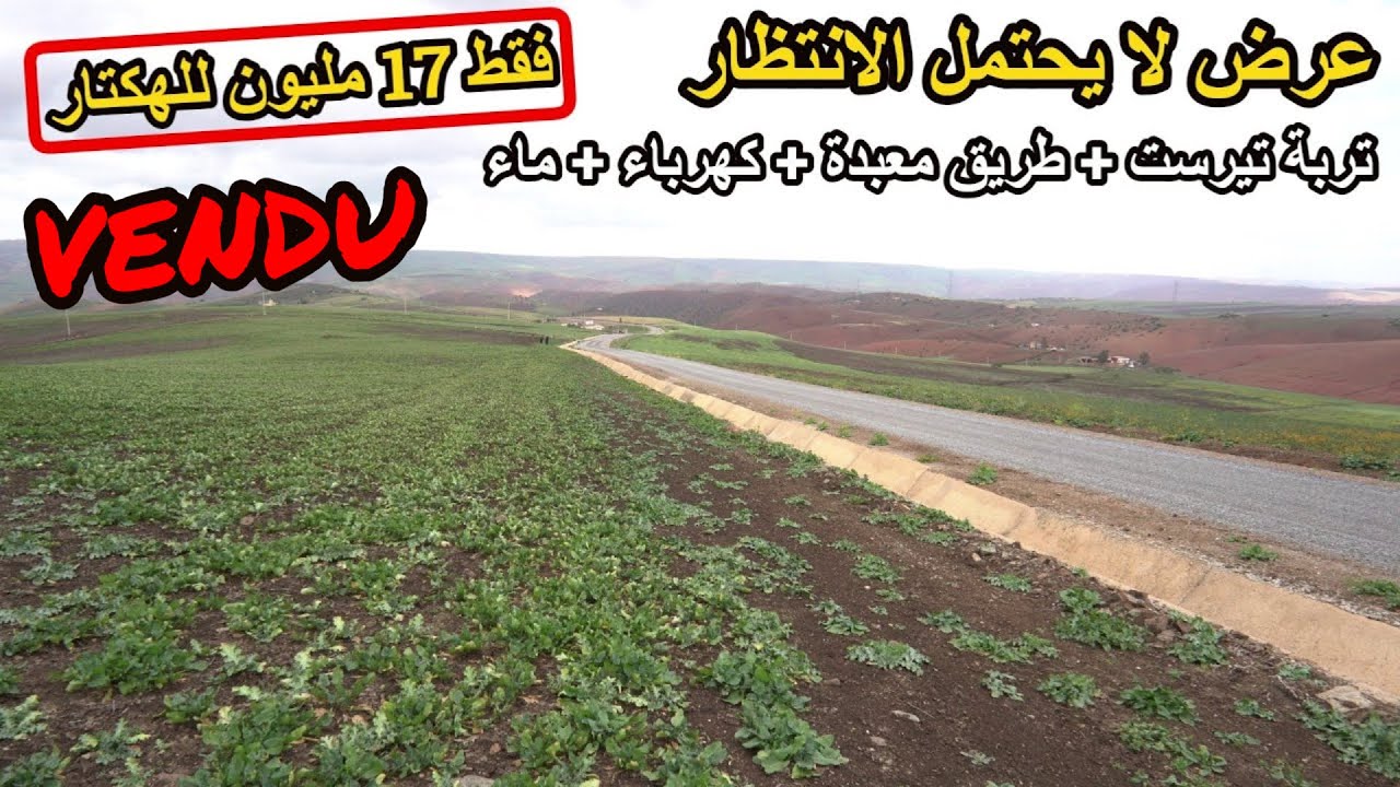 ✨فرصة رائعة لأرض فلاحية بتربة تيرست 9 هكتارات محفظة بموقع مميز ونادر فقط 17 مليون للهكتار ✨تيفلت