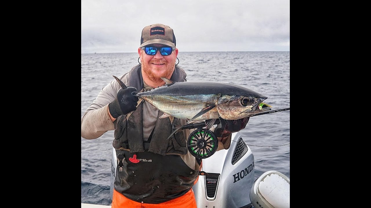 Lockdown! Fly Tying Through the Quarantine Episode 2: Albacore Anchovy