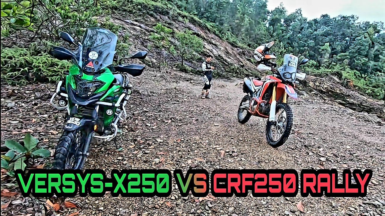 Versys-X 250 VS CRF 250 Rally