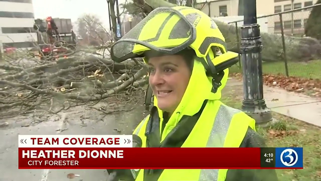 Storm causes downed trees around Hartford