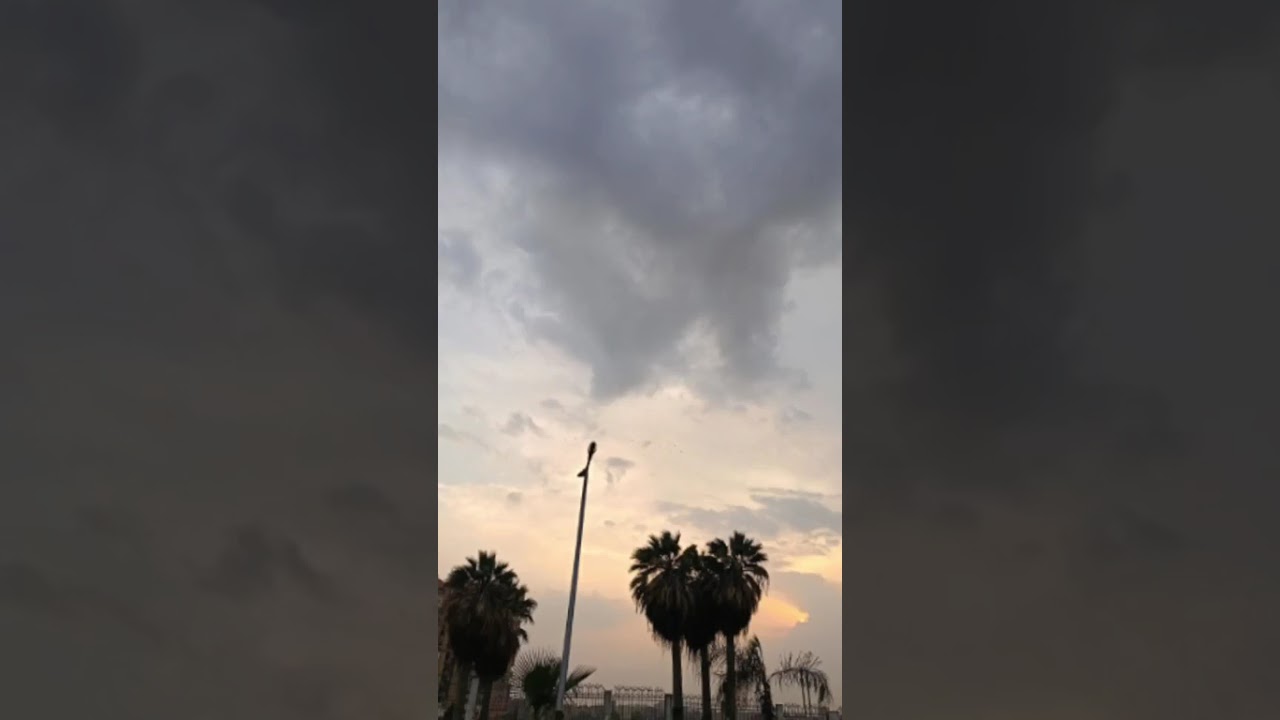 تقلبـ ـات جوية في فبراير وتحـ ـذيرات من الشبورة والأتربة.. قبل ما تنزل من بيتك اعرف حالة الطقس اليوم