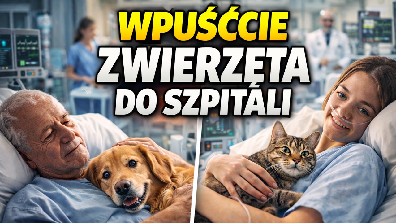 Zwierzę w szpitalu to nie fanaberia. To terapia, która realnie ratuje zdrowie