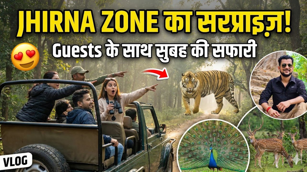 Morning Jungle Safari in JHIRNA ZONE | Peaceful & Wild 🌿 #yuvrajjimcorbett 