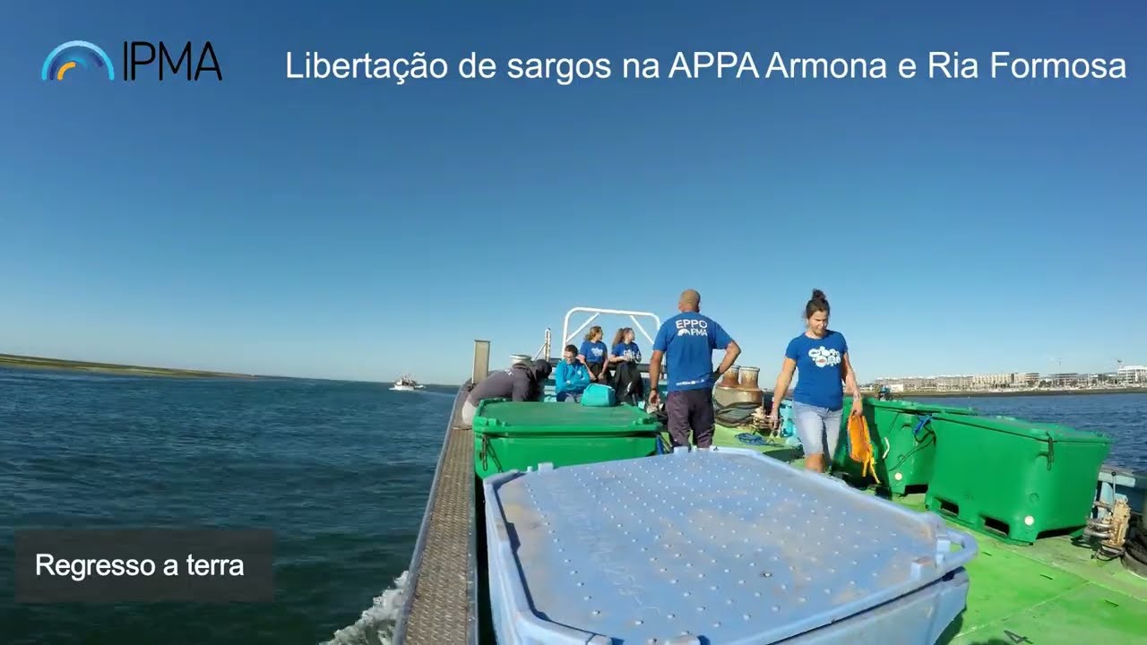 Libertação Sargos - Armona e Ria Formosa, 10 de novembro de 2022