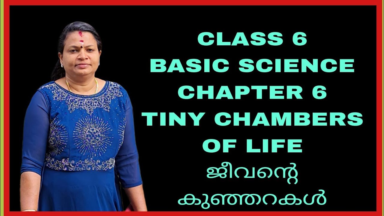 CLASS 6 BASIC SCIENCE CHAPTER 6 TINY CHAMBERS OF LIFE ( ജീവന്റെ കുഞ്ഞറകൾ) 