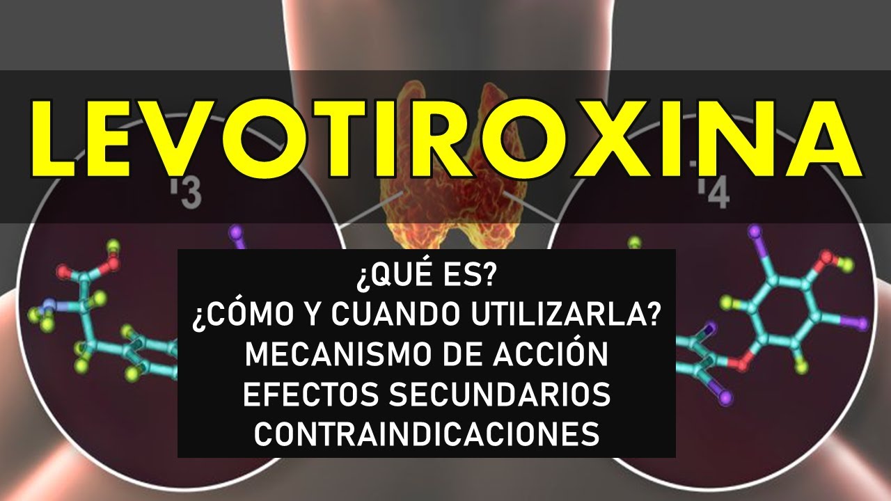 🔴 LEVOTIROXINA | PARA QUÉ SIRVE, MECANISMO DE ACCIÓN, EFECTOS SECUNDARIOS Y CONTRAINDICACIONES