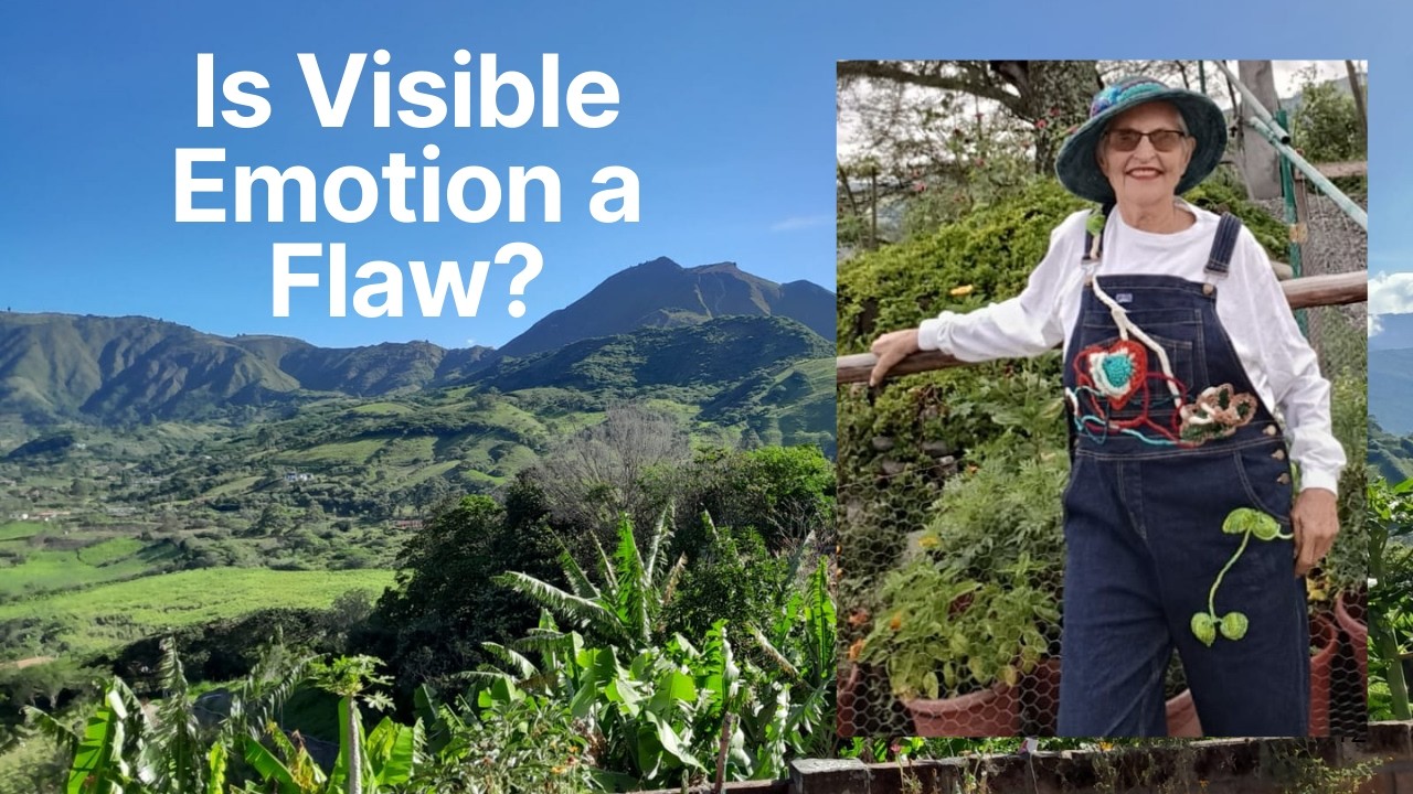 Affordability: Is Visible Emotion a Flaw?