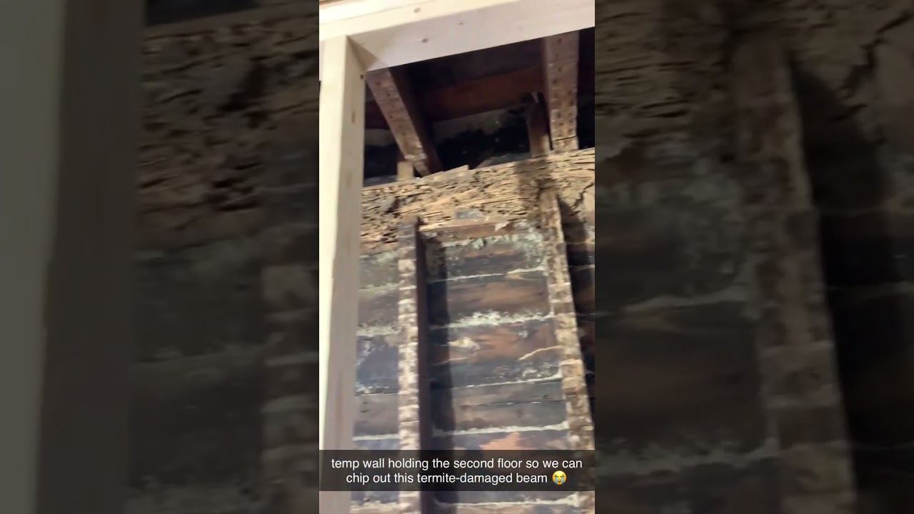 Termite Repair: Temp wall to support second floor