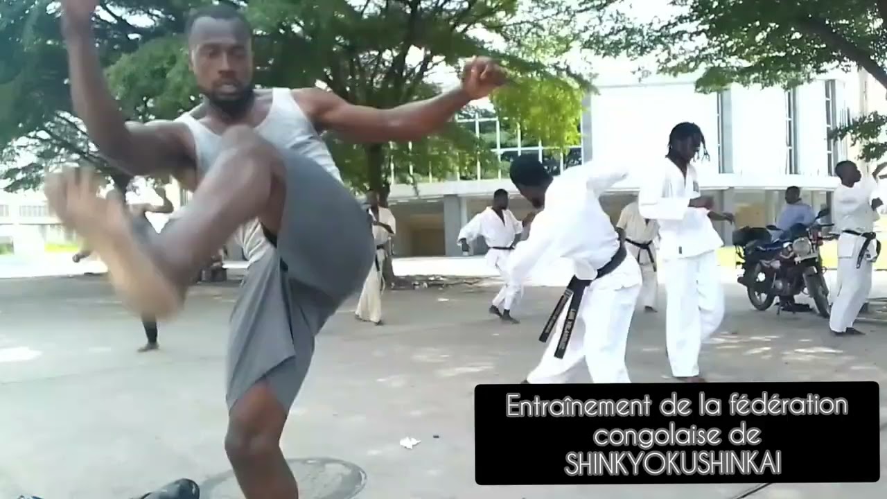 Entraînement de la fédération congolaise de SHINKYOKUSHINKAI 1 